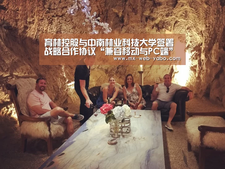 随时为用户提供贴心服务。亚博体育以国际化的视野与一流的服务