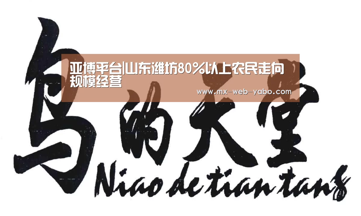 亚博平台|山东潍坊80%以上农民走向规模经营(图1) 随时为用户提供贴心服务。亚博体育以国际化的视野与一流的服务