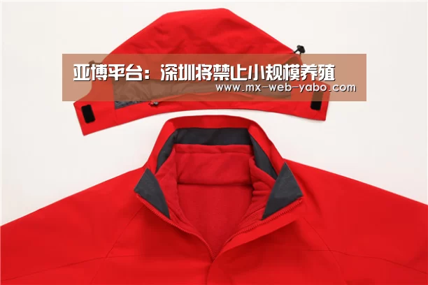 兼容移动与PC端