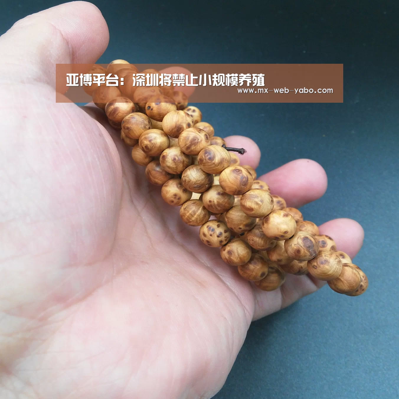 兼容移动与PC端