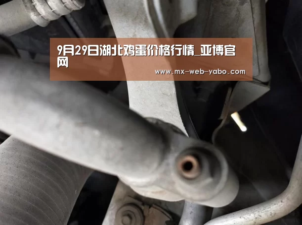 亚博官网