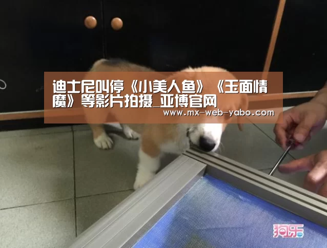 迪士尼叫停《小美人鱼》《玉面情魔》等影片拍摄_亚博官网(图2) 兼容移动与PC端