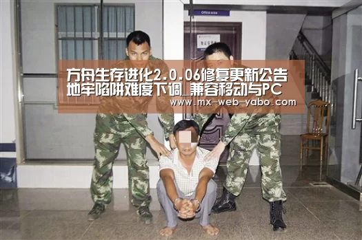 兼容移动与PC端